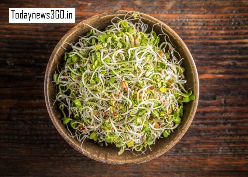 From Digestion to Immunity The Big Benefits of Eating Sprouts Daily
